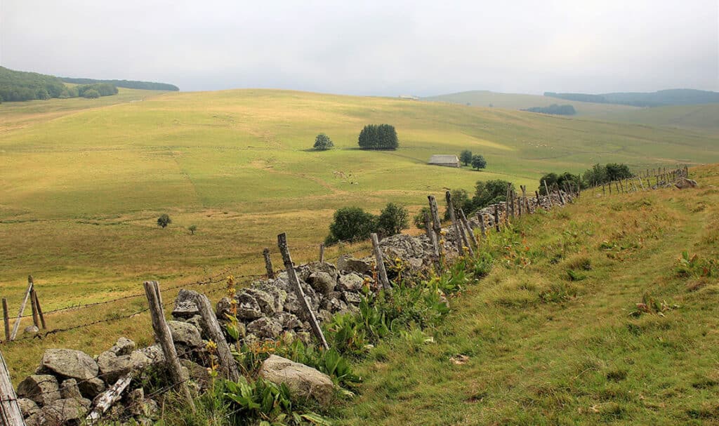 Balade Chemin en Aubrac